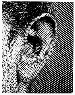 Human Ear Anatomy Drucke: HUMAN EAR. Line engraving