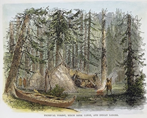 Canadian Forest Scenery Drucke: NATIVE AMERICANS, CANADA: 19th CENT