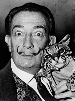 Drucke von Salvador Dali (1904-1989). Spanischer Maler. Mit seinem Haustier Ocelot Babou fotografiert wurde. Fotografie von Roger Higgins, 1965 Salvador Dali Drucke: Salvador Dali (1904-1989). Spanischer Maler