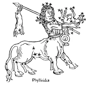 Konstellation: Zentaurus, Phylloirdes als Personifikation des Zentauers