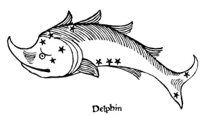 Delphinus Constellation Drucke: CONSTELLATION: DELPHINUS. Figuration of Delphinus