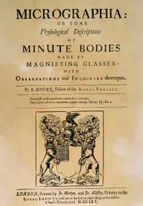 Hookes Mikroskopie