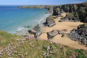 Drucke von Die Bedruthan Steps an der Nordküste von Cornwall in der Nähe von St Eval, an einem Frühlingstag mit Thrift oder Meerrose im Blütenstand Bilder Datiert 2012 Mai: Bedruthal Steps