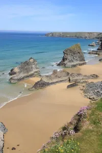 Drucke von Die Bedruthan Steps an der Nordküste von Cornwall in der Nähe von St Eval; am Tag eines Frühlings mit dem Thrift oder Meerrose in Blüte Bilder Datiert 2012 Mai: Die Bedruthan Steps