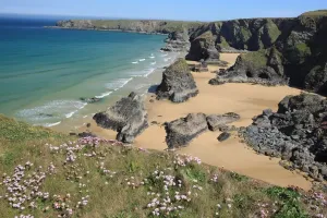 Drucke von Die Bedruthan Steps an der Nordküste von Cornwall in der Nähe von St Eval; auf einem Frühlingstag mit Thrift oder Meer-Pfingstrose im Blütenstand Bilder Datiert 2012 Mai: Die Bedruthan Steps