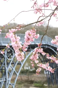 Brücke Drucke: Ironbridge