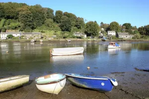 Cornwall Drucke: Lerryn