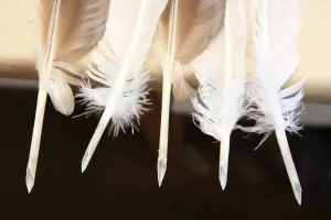 Drucke von Daniel Jaffes von der Firma Jaffe and Söhne Ltd. zu Axminster, Devon, ist einer der letzten Hersteller des Featherschweifhalters im Lande. Seine Familie hat sie seit drei Generationen hergestellt Axminster Drucke: Füllerfedern