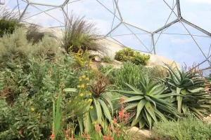 Bilder Datiert 2012 März: Biosphärenprojekt Eden
