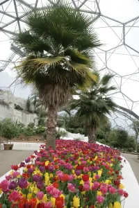 Bilder Datiert 2006: Biosphärenpark Eden, Kornwalc
