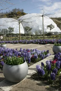Bilder Datiert 2006: Biosphärenprojekt Kornwall