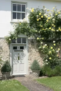 Drucke von Ein Haus mit Rosen um das Tor im Dorf von Haddenham, Buckinghamshire Haddenham Drucke: Haddenham