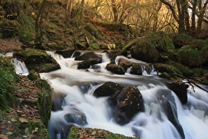Cornwall Landscape Photography Drucke: Golitha Falls