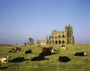 Wahrzeichen Drucke: Whitby