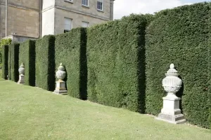 Statue Drucke: Buscot-Park