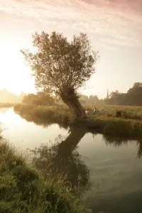 Bilder Datiert 2006: Die Cotswolds