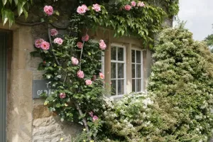 Bilder Datiert 2006: Oddington
