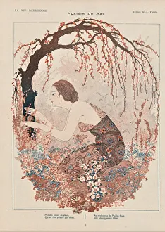Serene Garden Scene Drucke: 30586714
