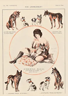 Dog Breed Characteristics Drucke: 30586726