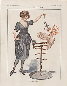 Historical Bird Artwork Drucke: 30587038