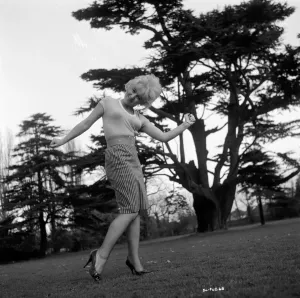 Ein Werbephotographie von Gwendolyn Watts für Billy Lirien 1963