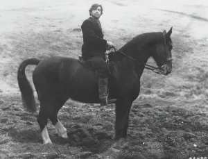 Drucke von Alan Bates in Far From The Madding Crowd H Drucke: Von Weitem zur wilden Herde