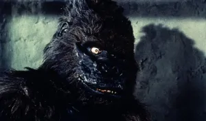Drucke von Entnommen aus dem Film von 1961, der von John Lemont inszeniert wurde Seit "King Kong"... Ist Die Leinwand Nicht Mehr Mit Solch Gewaltiger Wucht Und Spektakel Explodiert! Drucke: Ein enger Blick auf Konga