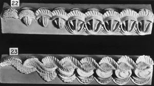 Kuchenrand- und Seiten-Rollen-Designs