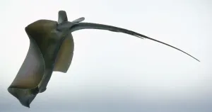 Riesenschildkröte