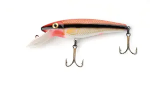 Fishing Lure Drucke: Lure with hooks