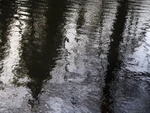 Bäume ohne Blätter spiegeln sich im Fluss Cherwell am Wintermorgen in Oxford wider