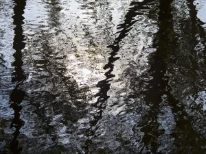 Bäume ohne Blätter spiegelten sich im Wintermorgen am Cherwell fluss in der Stadt Oxford wider
