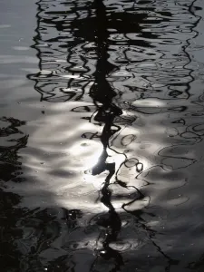 Bäume ohne Blätter spiegelten sich im Fluss Cherwell wider am Wintermorgen in Oxford