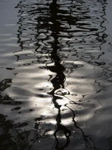 Bäume ohne Blätter spiegelten sich im Wintermorgen am Cherwell fluss in der Stadt Oxford wider