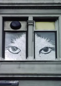 Katzenfenster in Amsterdam 2