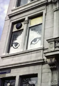 Katzenfenster in Amsterdam