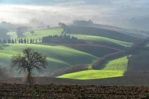 Drucke von Ländliche Gegend, Nebel, Macerata, Marken, Italien, Europa Macerata Drucke: Countryside