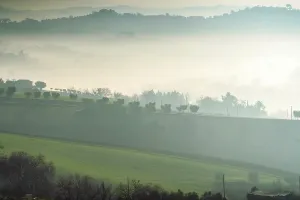 Drucke von Ländliche Gegend, Nebel, Macerata, Marken, Italien, Europa Macerata Drucke: Countryside