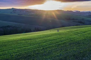 Drucke von Ländliches Landschaftsbild, Macerata, Marken, Italien, Europa Macerata Drucke: Landschaftslandschaft