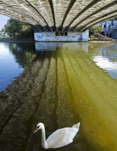Muster von Licht aus Flussreflexionen unter dem Donnington-Bridge in Oxford und ein einsamer Schwanz