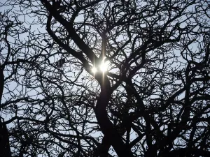Oxfordshire Landscape Photography Drucke: Two suns