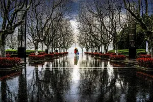 Natural Beauty Images Drucke: Walking in the rain