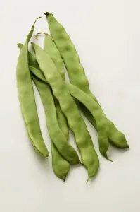 Studio Shot Of Green Beans Drucke: Runner beans