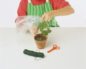 Vorsichtig zieht man den Plastikbeutel über das Baumwerk