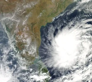 System für Bodenempfang 2008 Modis Bearbeitungssystem Geodatenzentrum Tropikum