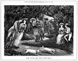 Drucke von Erhöhte Popularität der Rollschuhlaufen; Cartoon von George du Maurier in Punch vom 18. März 1876 George Du Maurier Drucke: Steigende Beliebtheit der Rollerskate; Cartoon von George du Maurier in Punch