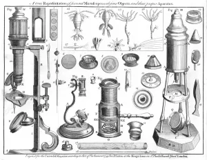 Zwischen den Mikroskopen und mikroskopischen Objekten, 1750. I: Wilsons Taschenmikroskop. II