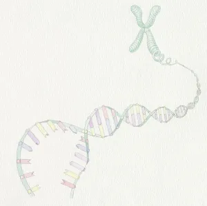 Double Helix Model Drucke: Artwork of DNA structure