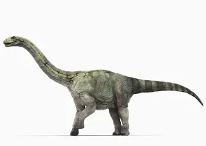 Illustrationen 1 Drucke: Barapasaurus, Seitenansicht