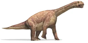 Lizard Hipped Dinosaurs Drucke: Camarasaurus, chambered lizard, side view